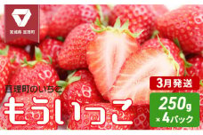 【3月発送】亘理町のいちご もういっこ 250g×4パック ＜オンライン決済限定＞※先行受付中！！	
