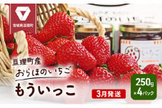 【3月発送】糖度の中に程よい酸味　亘理産おらほのいちご「もういっこ」