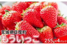 【亘理町産いちご】もういっこ 255g×4パック
