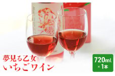 【亘理町いちご産】夢見る乙女1本 いちごワイン