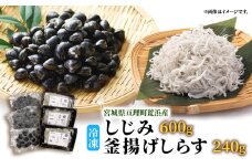 魚介 宮城県荒浜産 冷凍しじみ 600g 砂抜き済・冷凍釜揚げしらす 240g セット しじみ しらす あらはま海苔