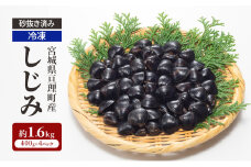 【先行受付】 砂抜き済み 宮城県亘理町産  冷凍しじみ約1.6kg（400g×4パック）天然 冷凍 しじみ 砂抜き 宮城県 亘理町
