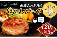 ハンバーグ 肉職人の手作り生ハンバーグ 5個 セット はらからの逸品 牛肉 豚肉 合い挽き 小分け 冷凍