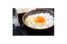 ＜卵かけごはんセット＞STCのこだわり樹精高品質たまご25個と ひとめぼれ6kg【1069991】