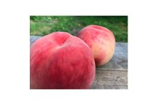 ＜阿部果樹園＞桃(あかつき)　5kg【1048597】