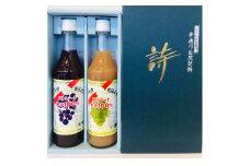 「マルタのきぶどう」詰合せセット(600ml×2本)【1241160】