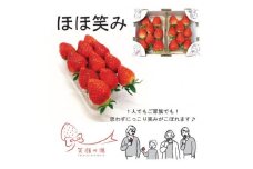 宮城県山元町産いちご　笑顔の源　ほほ笑み(280g×2パック)【1356522】