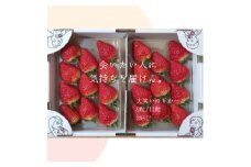 宮城県山元町産いちご　笑顔の源　大笑いゆりかーご(245g×2パック)【1356523】