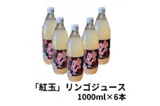 紅玉りんごジュース　1000ml×6本【1418485】