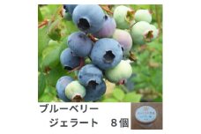おひさま村農園のブルーベリージェラート　8個【1419826】