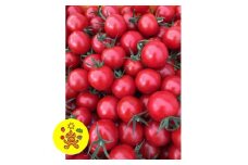 ＜発送月固定定期便＞山のふ元のあまトマト(フルティカ・小鈴の詰め合わせセット)全6回【4004164】