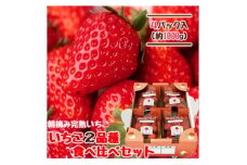 山元いちご農園 朝採り完熟いちご 宮城いちご2品種食べ比べセット 1.0kg(250g×4パック)【1475585】