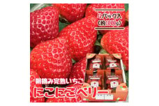 山元いちご農園 朝採り完熟いちご にこにこベリー 1.0kg(250g×4パック)【1475588】