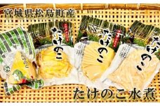 No.010 宮城県松島町産　たけのこ水煮 ／ 筍 タケノコ 真空パック 水煮 宮城県 特産品