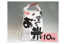 No.068 松島町産厳選ひとめぼれ　10kg ／ お米 精米 環境保全米 宮城県