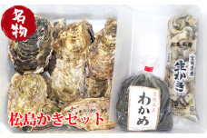 No.091 松島かきセット ／ 貝 牡蠣 カキ 生牡蠣 殻付 宮城県