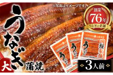 No.104 うなぎ蒲焼（大）　3人前 ／ 鰻 ウナギ 老舗 宮城県