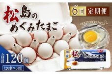 No.164 松島のめぐみたまご 20個入り 6ヵ月定期便 ／ 卵 玉子 卵黄 オレンジ 美味しい すっきり ハーブ 安心 安全 宮城県
