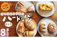 No.171-01 【カット有】ぱんやあいざわのハードなパンセット（8個入り） ／ ハードパン 自家培養発酵種 じっくり発酵 カンパーニュ バゲット 詰合せ 朝食 昼食 夜食 おやつ 宮城県
