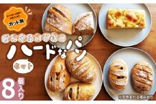 No.171-02 【カット無】ぱんやあいざわのハードなパンセット（8個入り） ／ ハードパン 自家培養発酵種 じっくり発酵 カンパーニュ バゲット 詰合せ 朝食 昼食 夜食 おやつ 宮城県