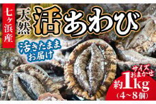 活あわび 約 1kg (4～8個) 活きたままお届け！エアーポンプ付 冷蔵 蝦夷 あわび 国産 サイズおまかせ｜ 七ヶ浜 漁協 鮑 素潜り 高級 ステーキ アワビ 刺身 蒸し 肉厚 漁港直送 天然 新鮮 お造り 宮城県 七ヶ浜町 ｜ jf-aw01-r6pd