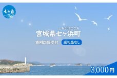 七ヶ浜町 返礼品なし 応援寄附【3,000円】| 7h-hn-3000