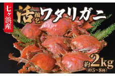 《先行予約》【6月中旬発送】 七ヶ浜産 ワタリガニ 約 2kg (5〜8杯) 活 梱包 ｜ 七ヶ浜町 漁協 かに カニ 蟹 渡り蟹 ボイル パスタ ガザミ 国産 天然 茹でガニ 新鮮 ｜ jf-wg02-R7
