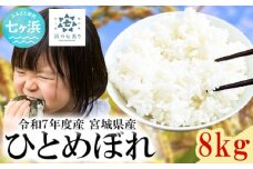 【新米先行受付】令和7年産宮城県産 ひとめぼれ 8kg 米 白米 令和7年産 宮城産 登米産 