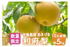 数量限定 利府梨（あきづき）5kg（10玉前後）伊藤梨園 梨の名産地 宮城県利府町産