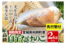 【先行受付 2026年4月以降発送】宮城県利府町産 採れたて 高級白子たけのこ 皮付き2kg以上（2～6本）筍 タケノコ 野菜 国産 新鮮 旬