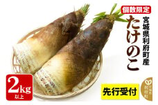 【先行受付 2026年4月以降発送】宮城県利府町産 採れたて たけのこ 皮付き2kg以上（2～6本）筍 タケノコ 野菜 国産 新鮮 旬