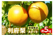 数量限定 利府梨（あきづき）約5kg（10玉前後）