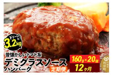《定期便12ヶ月》ドドンと3.2kg！昔懐かしいトマト系デミグラスソースハンバーグ (160g×20個)×12回 肉 洋食 簡単 大容量 湯煎 湯せん 個包装
