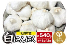宮城県利府町産 白にんにく（約45g×12個 約540g）野菜 国産 新鮮