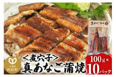 真あなご蒲焼＜煮穴子＞ 100g×10P