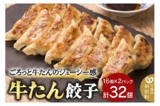 牛たん餃子（20g×16個×2パック）