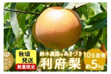 個数限定 利府梨（あきづき）5kg（10玉前後） 鈴木梨園