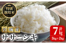 ＜令和5年産＞特別栽培米 ササニシキ 7kg ささにしき お米 おこめ 米 コメ 白米 ご飯 ごはん おにぎり お弁当 有機質肥料【JA新みやぎ】ta218
