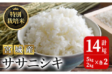 ＜令和5年産＞特別栽培米 ササニシキ 合計14kg お米 おこめ 米 コメ 白米 ご飯 ごはん おにぎり お弁当 有機質肥料【JA新みやぎ】ta222