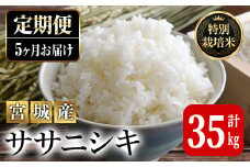＜5ヶ月定期便＞特別栽培米 ササニシキ 7kg×5回 (全35kg) お米 おこめ 米 コメ 白米 ご飯 ごはん おにぎり お弁当 有機質肥料 頒布会【JA新みやぎ】ta224