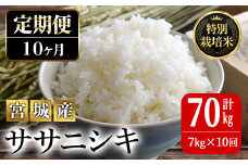 ＜10か月定期便＞特別栽培米 ササニシキ 7kg×10回 (全70kg) お米 おこめ 米 コメ 白米 ご飯 ごはん おにぎり お弁当 有機質肥料 頒布会【JA新みやぎ】ta227