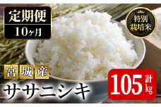 ＜10か月定期便＞特別栽培米 ササニシキ 100kg+5kg お米 おこめ 米 コメ 白米 ご飯 ごはん おにぎり お弁当 有機質肥料 頒布会【JA新みやぎ】ta230
