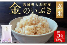 玄米 金のいぶき 自宅用 合計3,750g (750g×5袋) 小分け お米 おこめ 米 コメ 玄米 ご飯 ごはん おにぎり お弁当【赤間農業開発株式会社】ta311