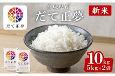 ＜先行予約！2025年11月から順次発送予定＞【令和7年産 新米】宮城県産 だて正夢 10kg お米 おこめ 米 コメ 白米 ご飯 ごはん 伊達 だてまさゆめ おにぎり お弁当 ブランド米 10kg【株式会社パールライス宮城】ta206