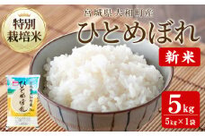 【令和7年産 新米】特別栽培米 ひとめぼれ 5kg お米 おこめ 米 コメ 白米 ご飯 ごはん おにぎり お弁当【農事組合法人若木の里】ta530