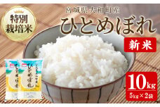 【令和7年産 新米】特別栽培米 ひとめぼれ 10kg お米 おこめ 米 コメ 白米 ご飯 ごはん おにぎり お弁当【農事組合法人若木の里】ta531