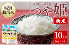 【令和7年産 新米】特別栽培米 つや姫 10kg お米 おこめ 米 コメ 白米 ご飯 ごはん おにぎり お弁当【農事組合法人若木の里】ta537
