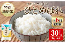 【令和7年産】＜6か月定期便＞特別栽培米 ひとめぼれ 5kg×6回(合計30kg) お米 おこめ 米 コメ 白米 ご飯 ごはん おにぎり お弁当 頒布会【農事組合法人若木の里】ta541