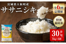 【令和7年産】＜6か月定期便＞特別栽培米 ササニシキ 5kg×6回(合計30kg) お米 おこめ 米 コメ 白米 ご飯 ごはん おにぎり お弁当 頒布会【農事組合法人若木の里】ta545