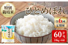 【令和7年産】＜6か月定期便＞特別栽培米 ひとめぼれ 10kg×6回(合計60kg) お米 おこめ 米 コメ 白米 ご飯 ごはん おにぎり お弁当 頒布会【農事組合法人若木の里】ta542